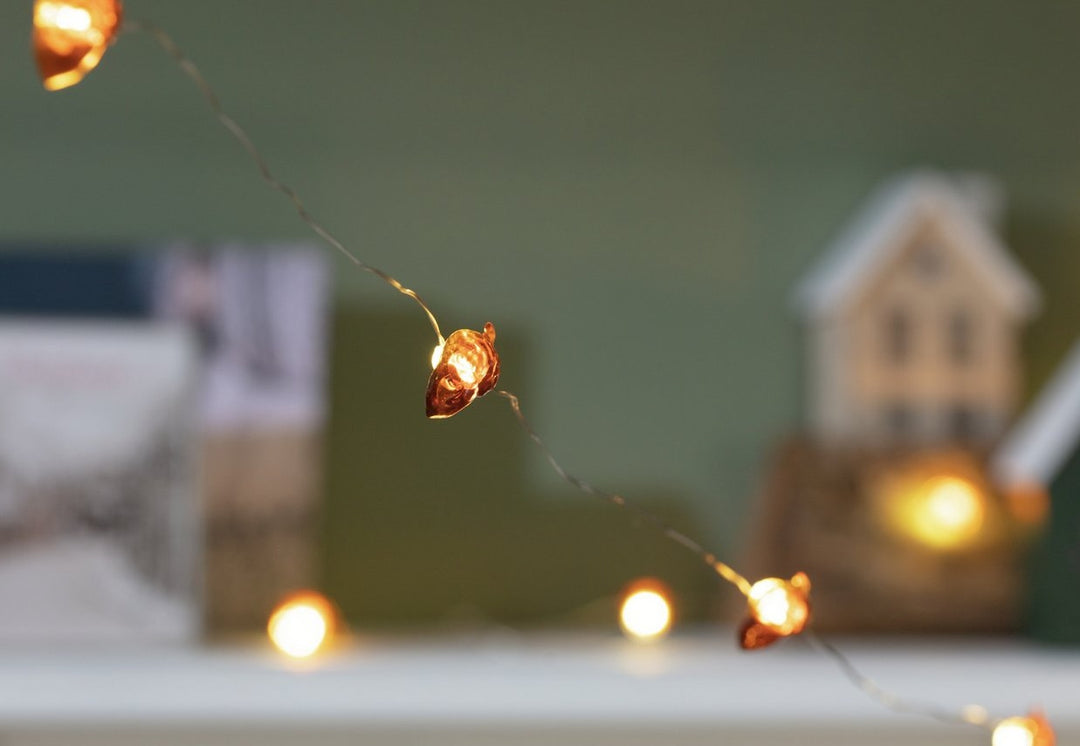 Home 20 LED Christmas Acorn String Lights