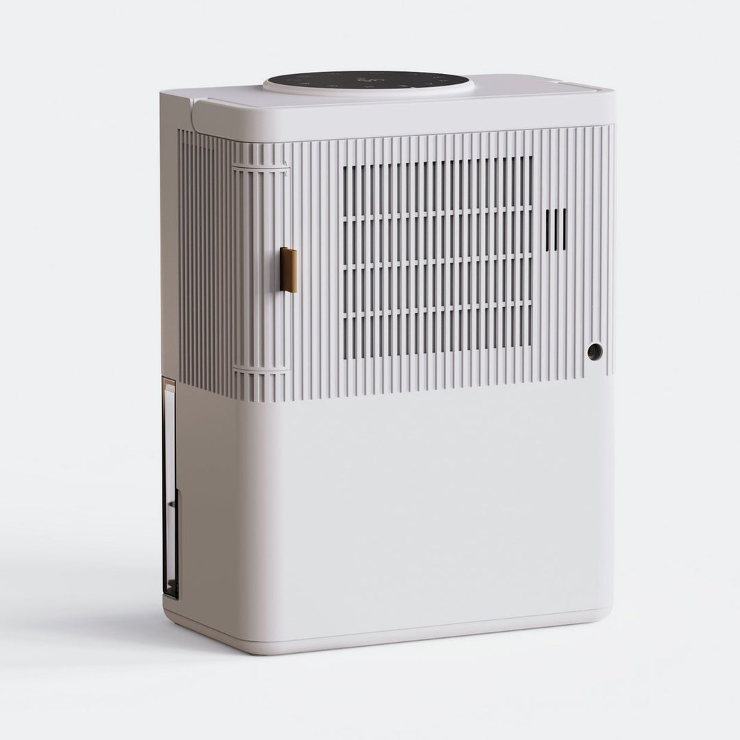 Challenge 3L Dehumidifier